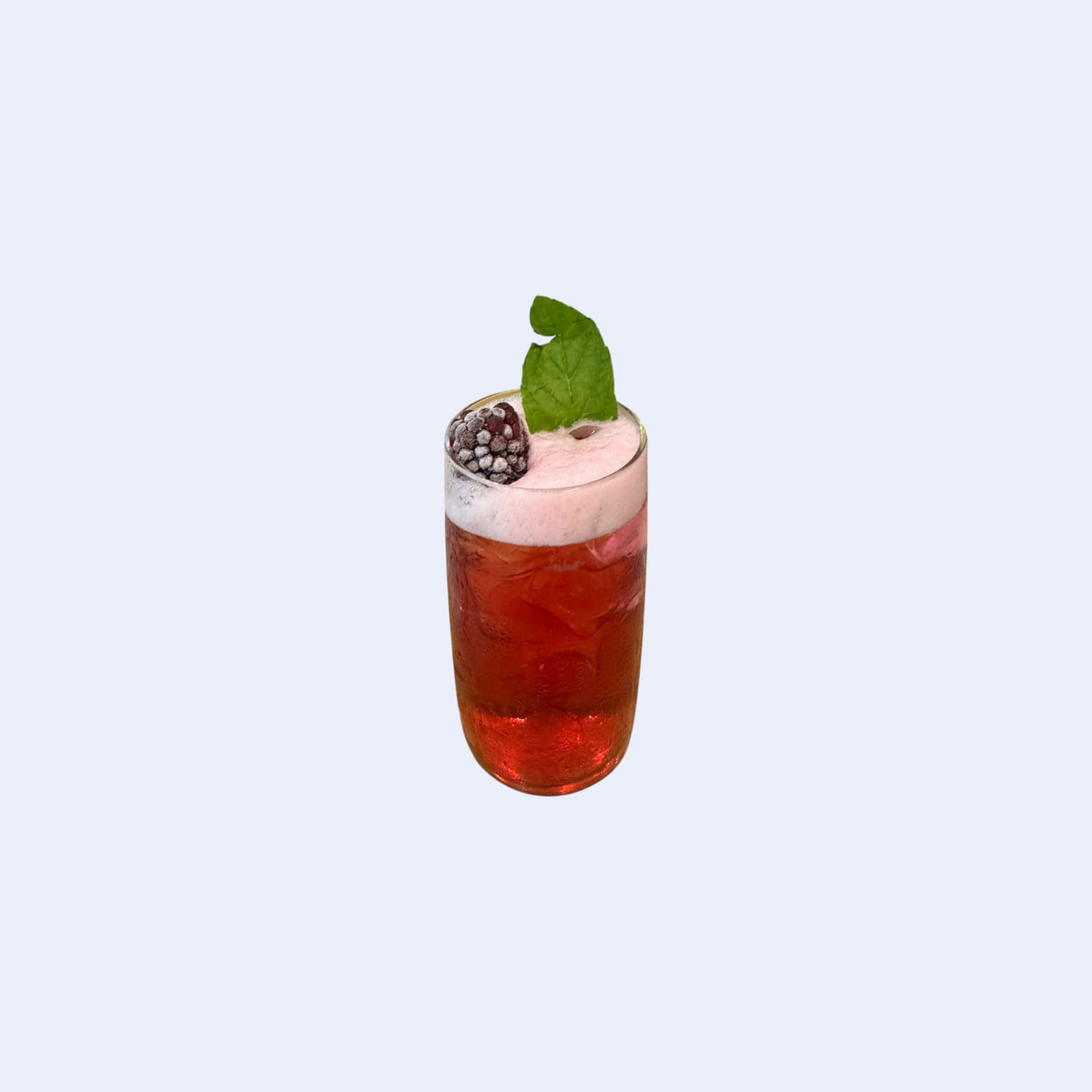 Berry Hibiscus